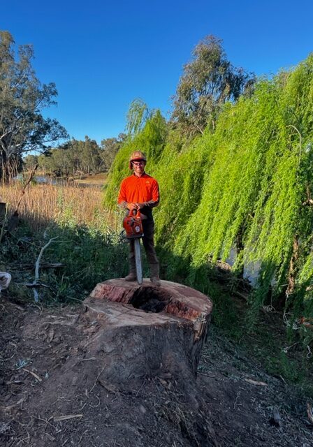 A man with a chainsaw standing next to a tree stump.